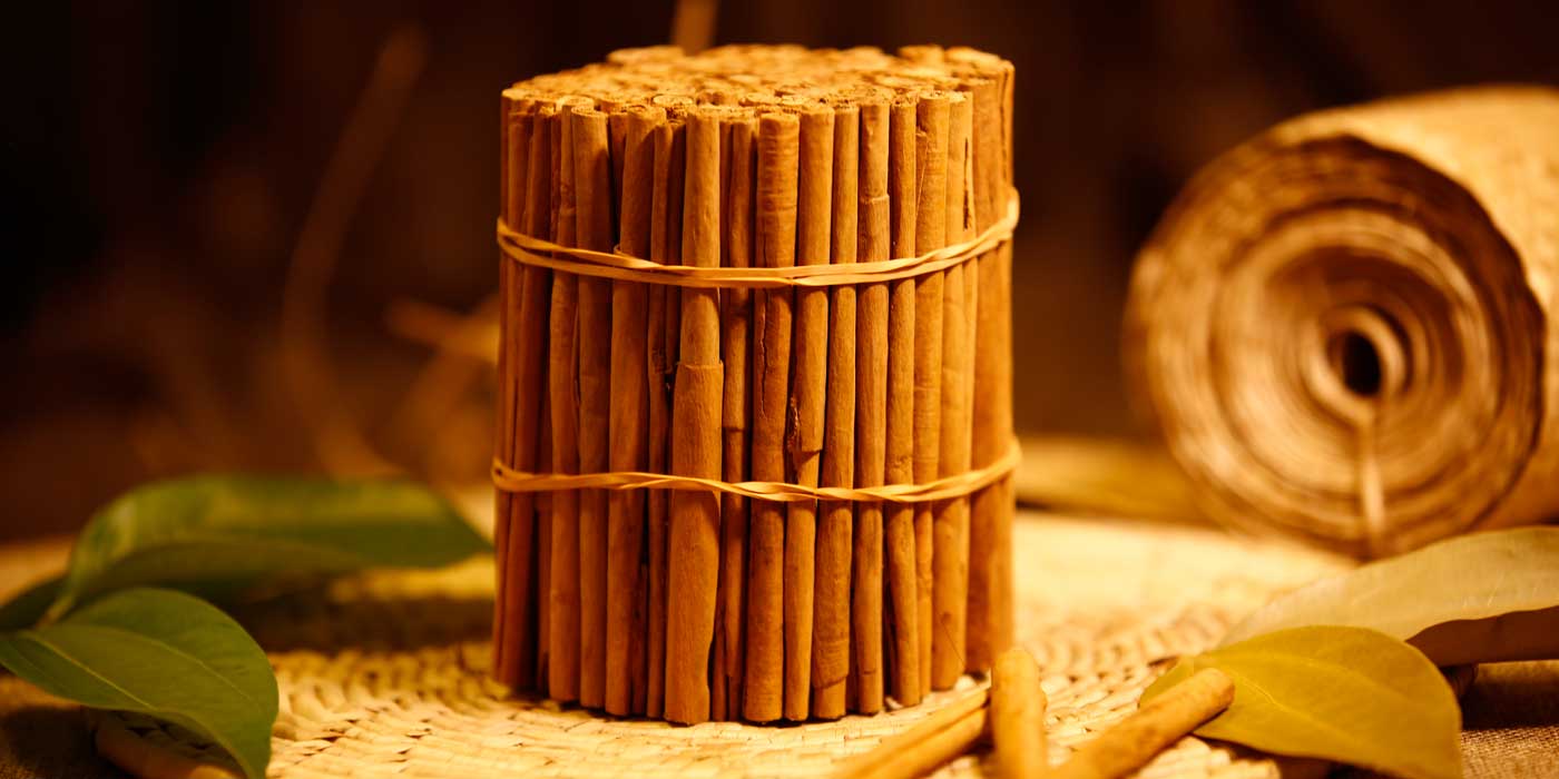 Cinnamon Quills